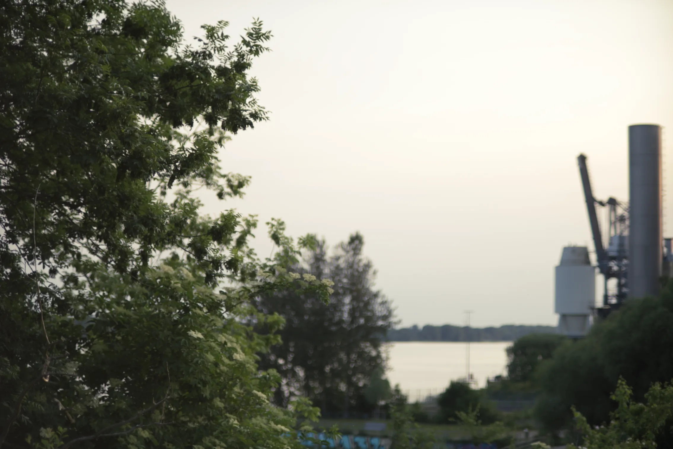 some industrial buildings shot through bushes