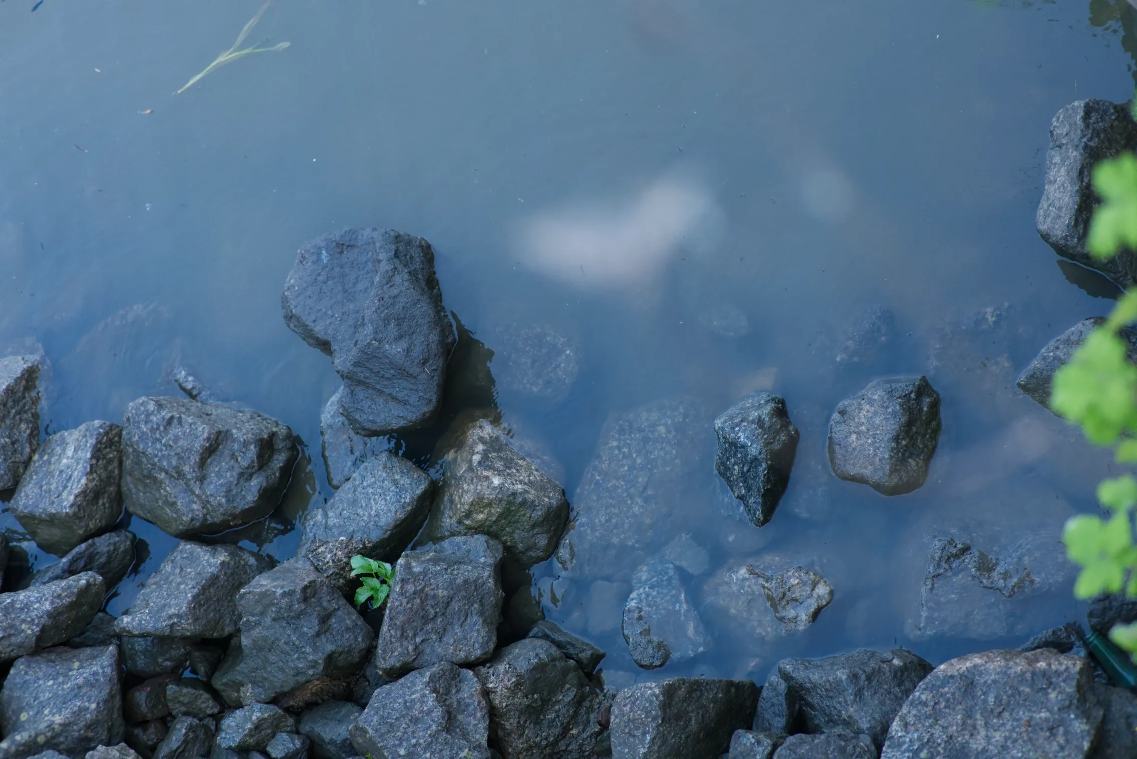 cool rocks in the water! they were much larger irl than they look here