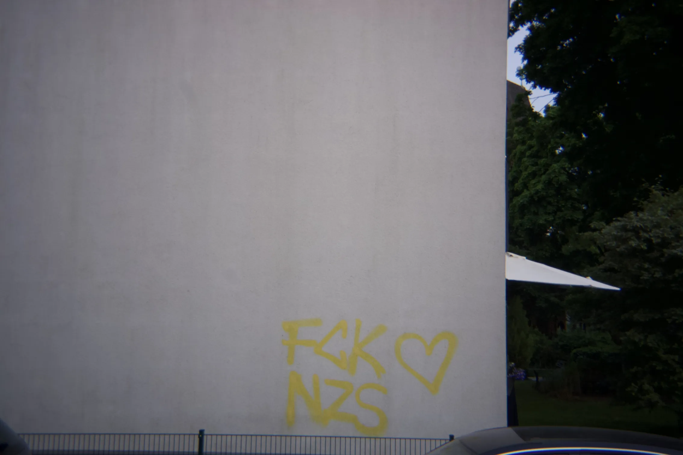 a graffiti that says fck nzs